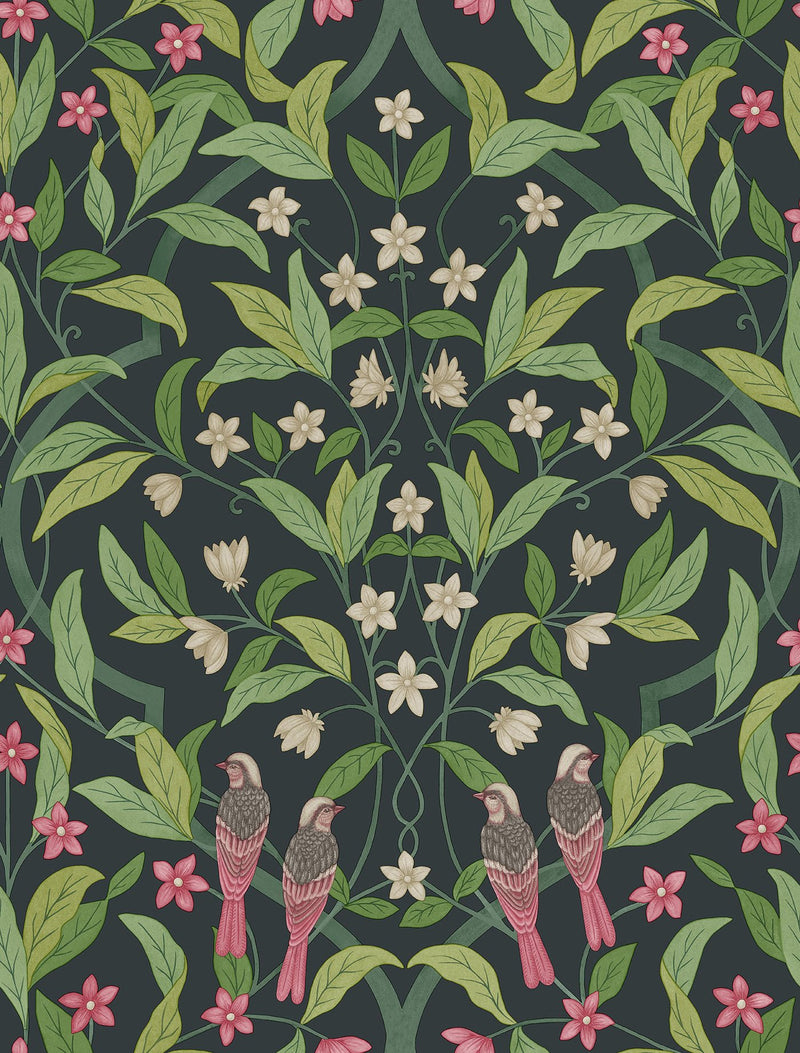 Jasmine and Serin Symphony Wallpaper