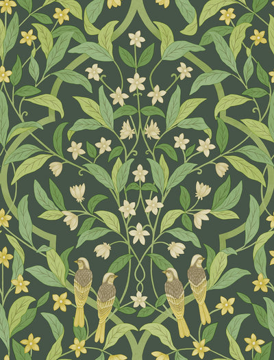 Jasmine and Serin Symphony Wallpaper