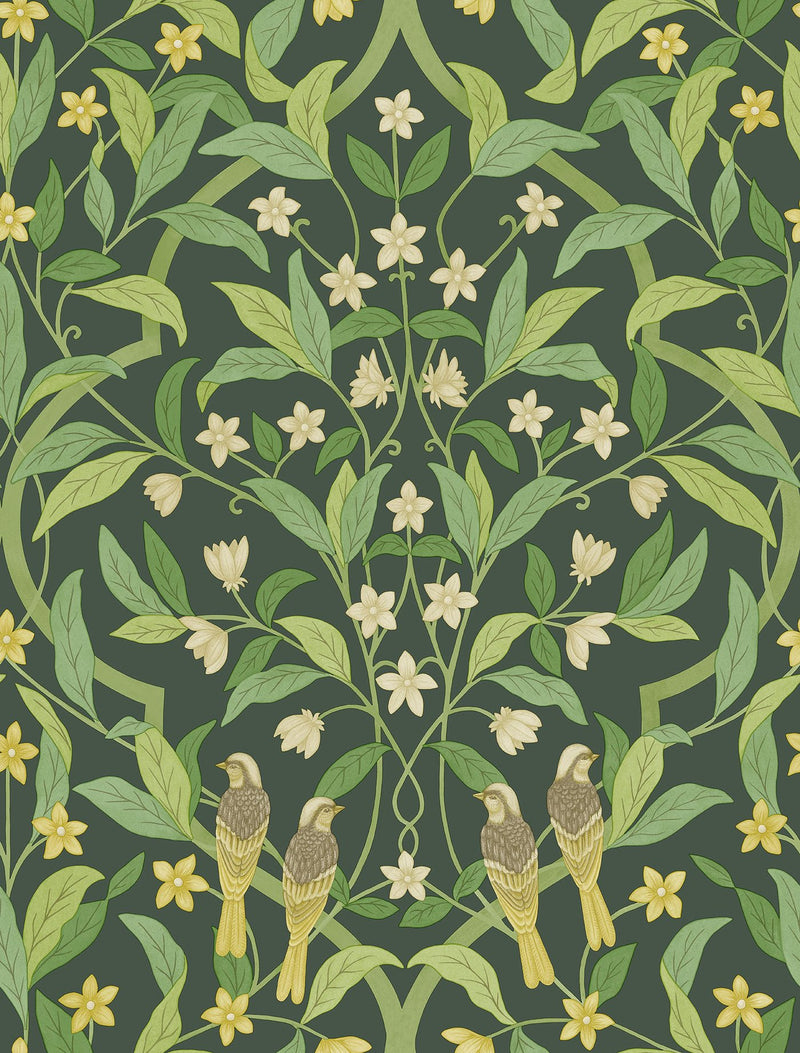 Jasmine and Serin Symphony Wallpaper