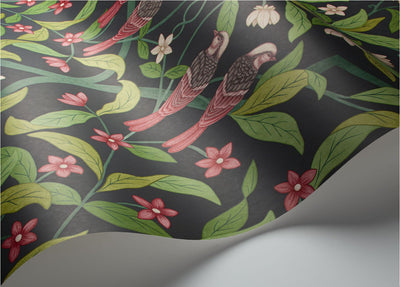 Jasmine and Serin Symphony Wallpaper