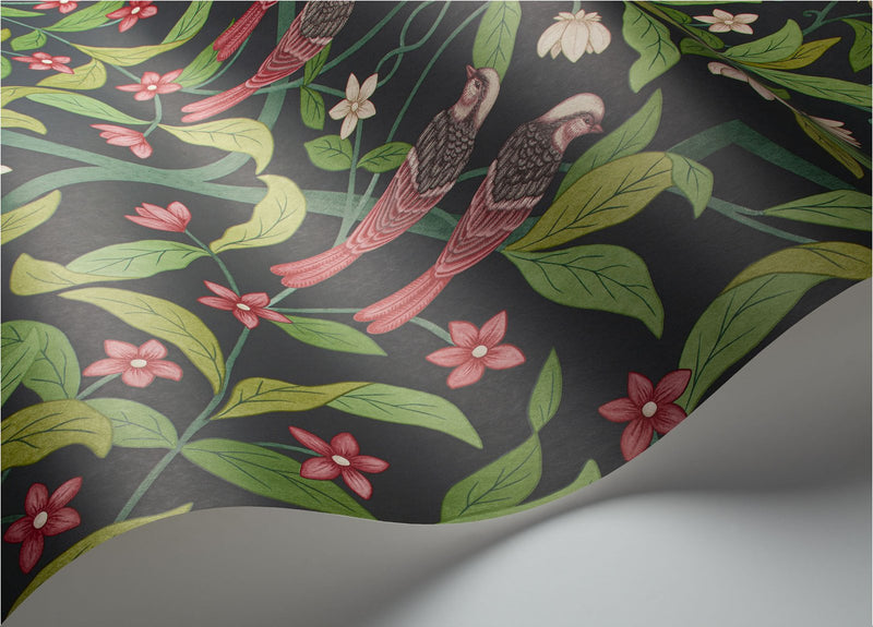 Jasmine and Serin Symphony Wallpaper
