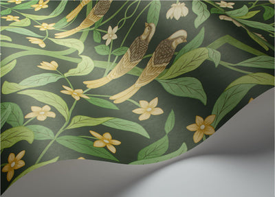 Jasmine and Serin Symphony Wallpaper