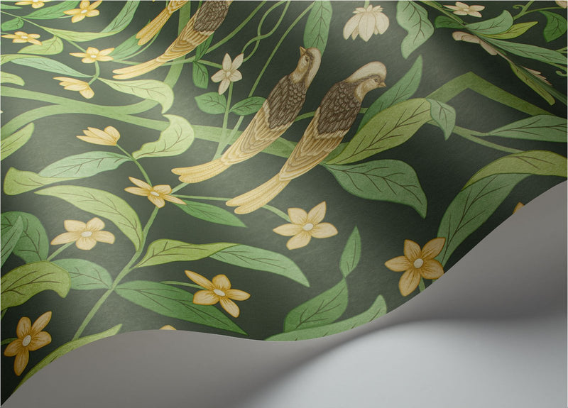 Jasmine and Serin Symphony Wallpaper