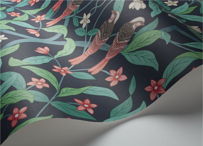 Jasmine and Serin Symphony Wallpaper