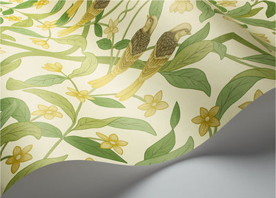 Jasmine and Serin Symphony Wallpaper