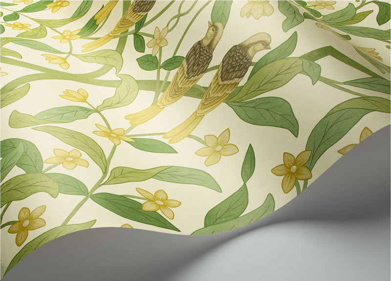 Jasmine and Serin Symphony Wallpaper