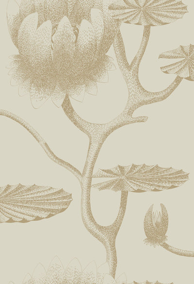 Lily Wallpaper
