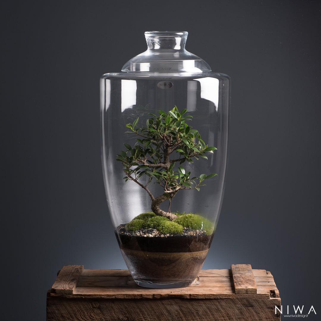 Manhattan Terrarium – Haffertys