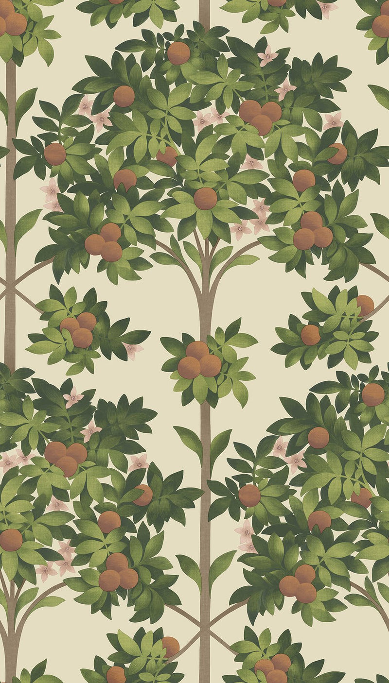 Orange Blossom Wallpaper