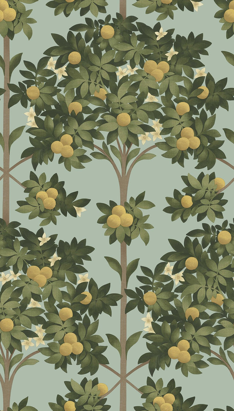 Orange Blossom Wallpaper