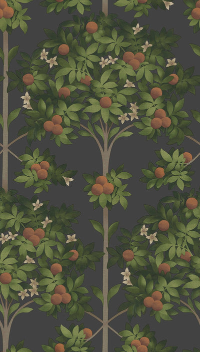 Orange Blossom Wallpaper