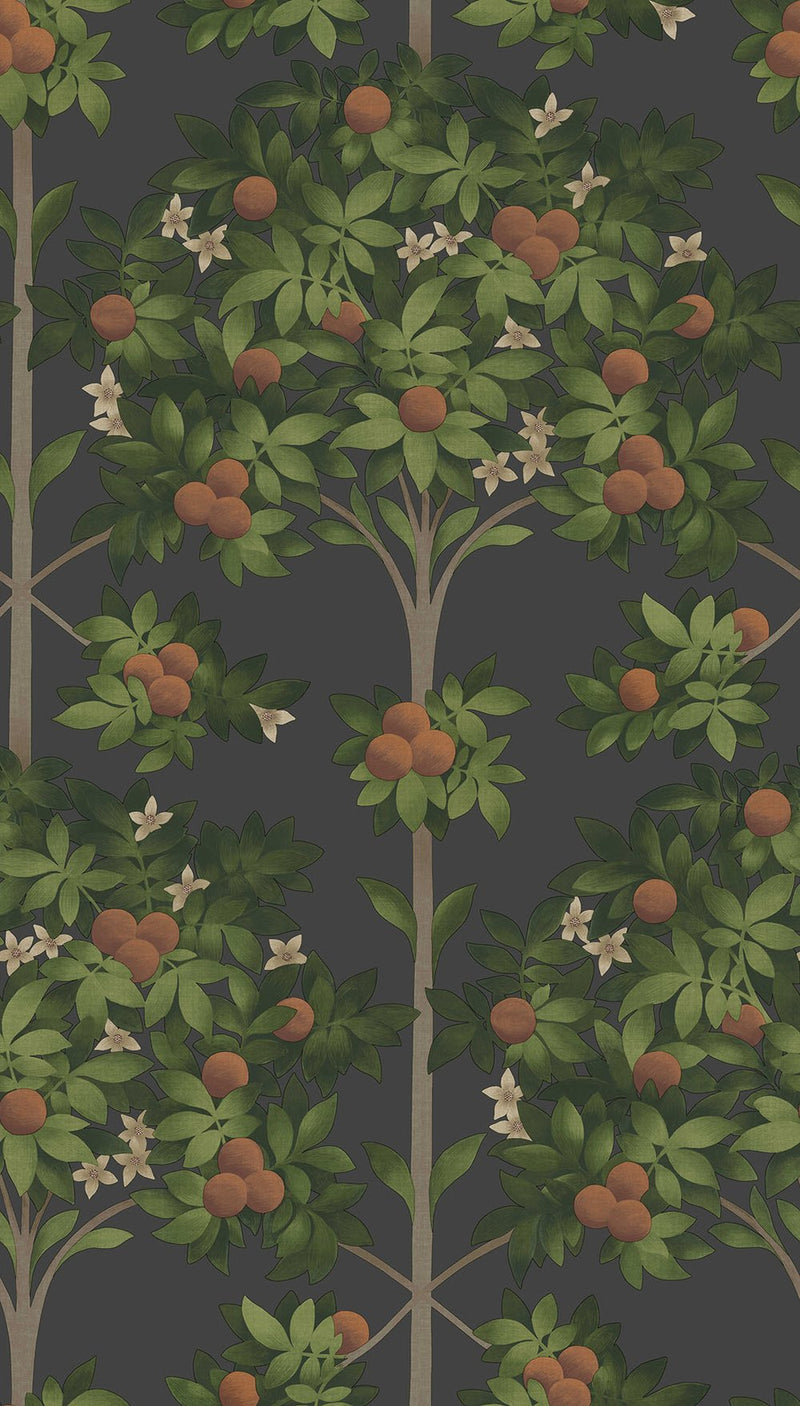 Orange Blossom Wallpaper