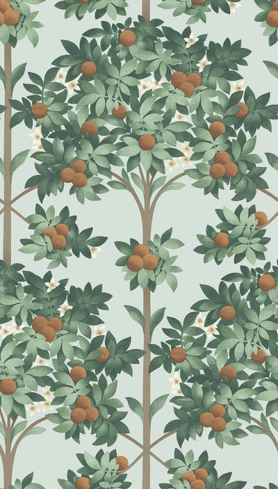 Orange Blossom Wallpaper