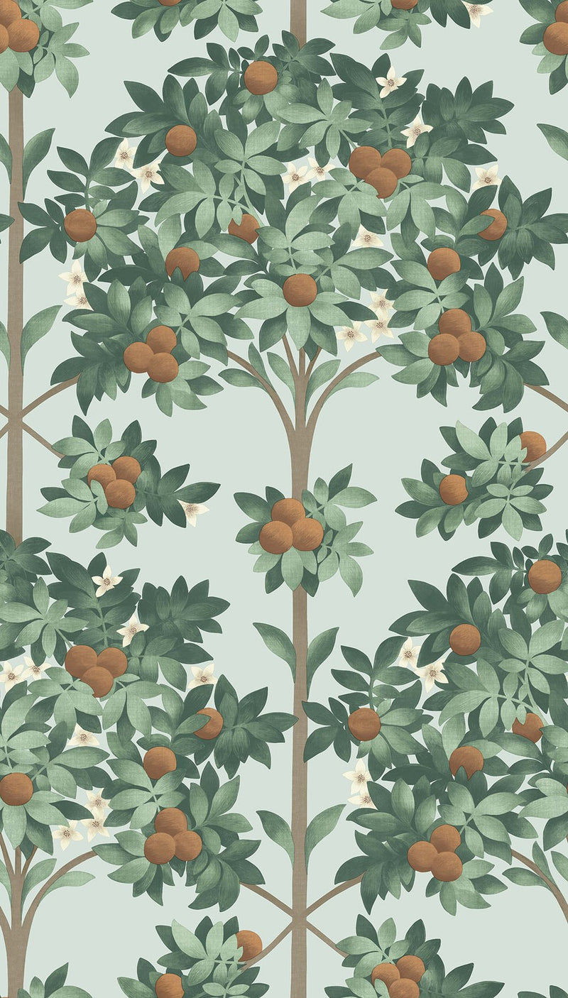 Orange Blossom Wallpaper