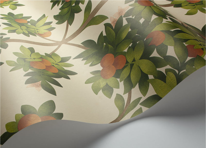 Orange Blossom Wallpaper