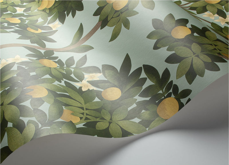Orange Blossom Wallpaper