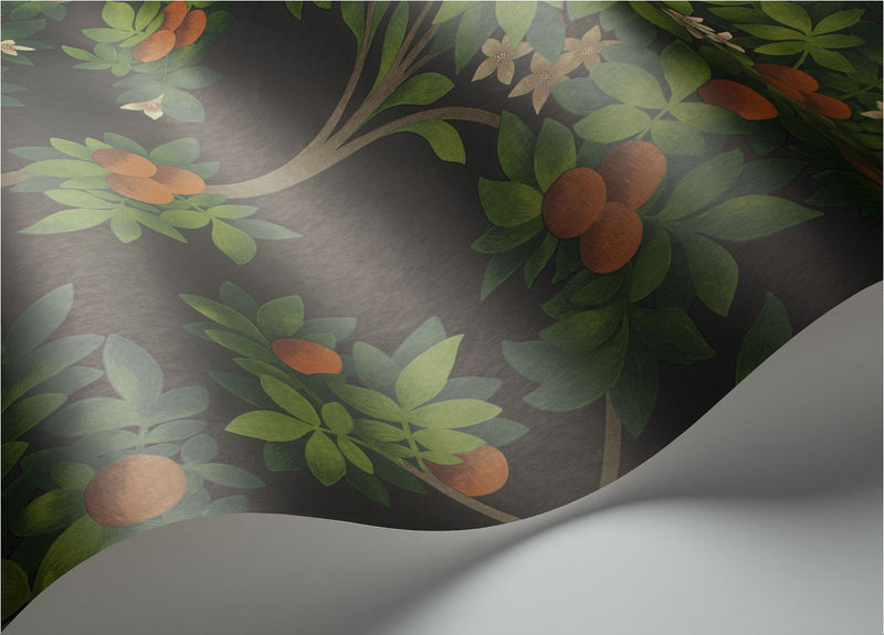 Orange Blossom Wallpaper