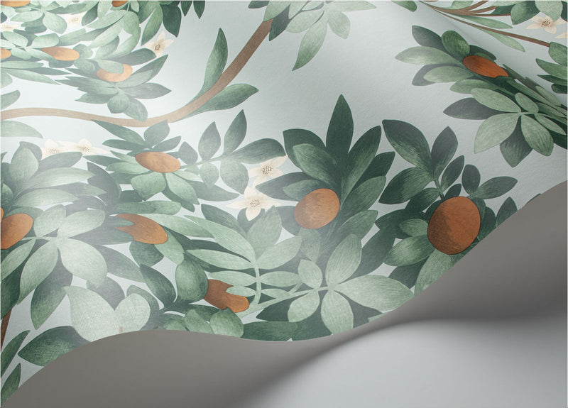 Orange Blossom Wallpaper