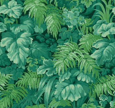 Royal Fernery Wallpaper