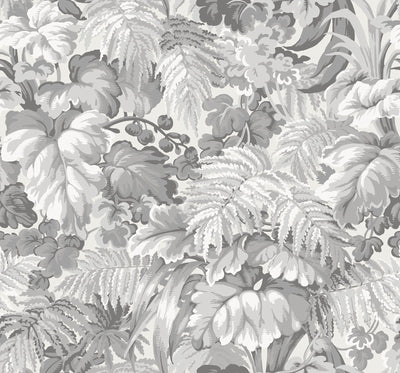 Royal Fernery Wallpaper