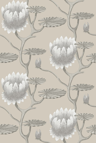 Summer Lily Wallpaper