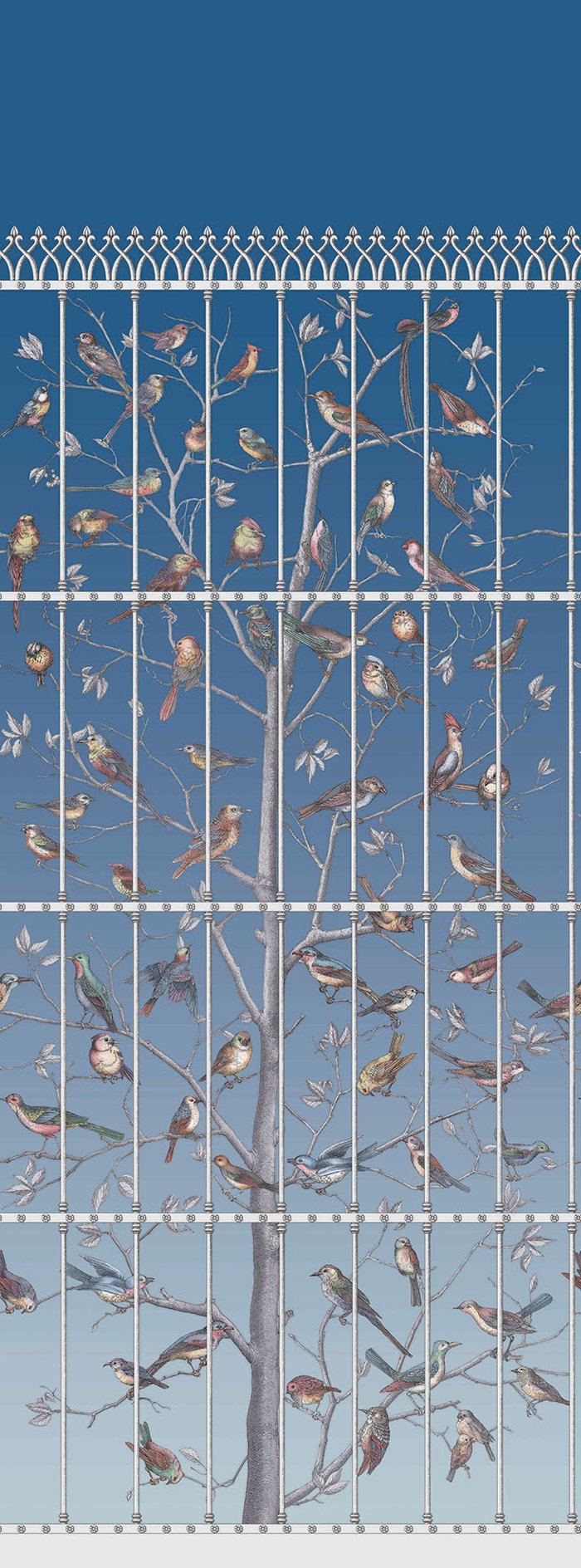 Uccelli Wallpaper