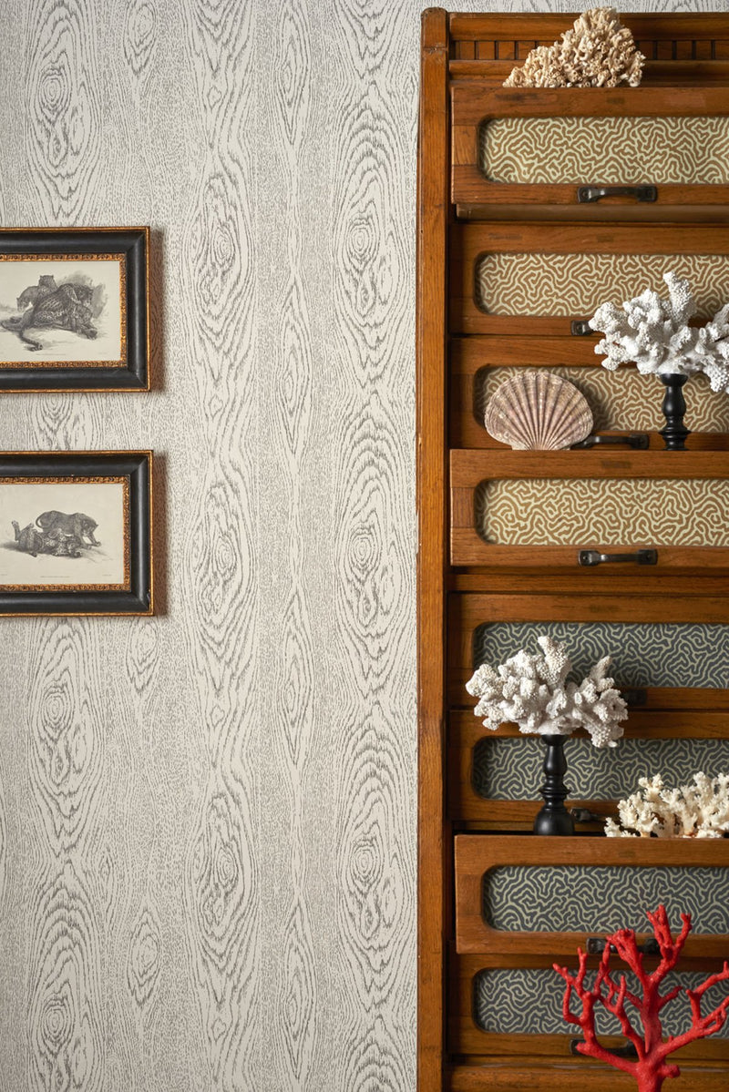 Wood Grain Curio Wallpaper